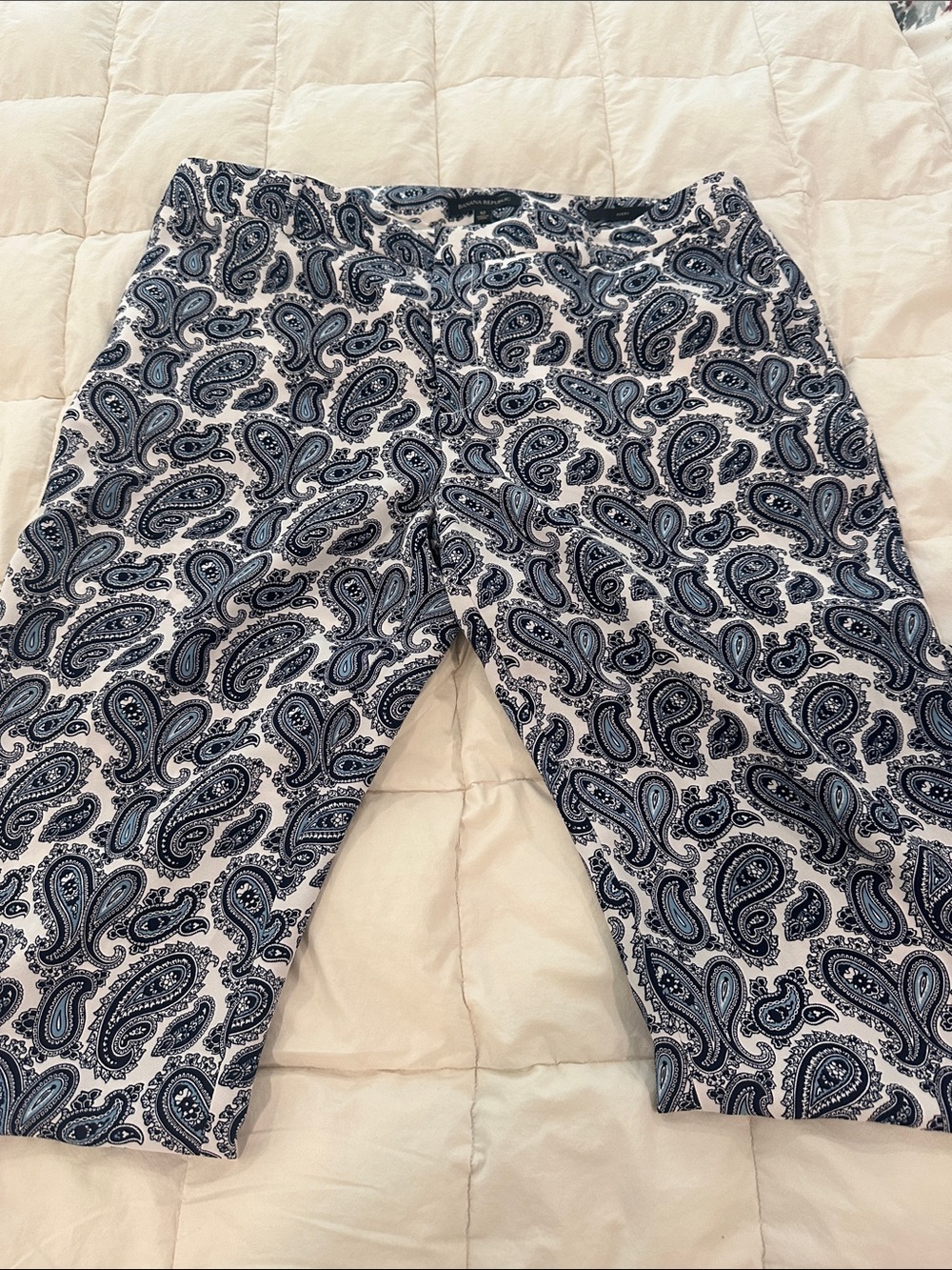 Banana Republic White and Blue Paisley Chinos